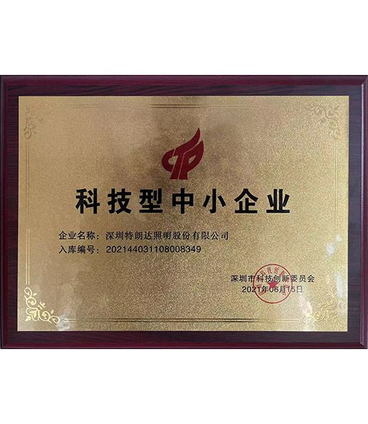 科技型中小企业